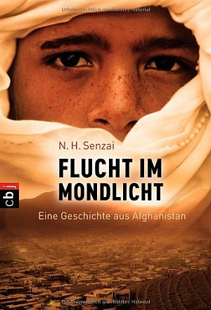 Flucht im Mondlicht