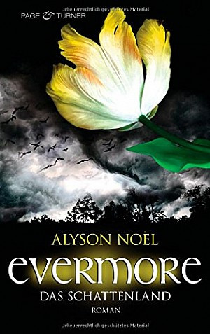 Evermore (3) - Das Schattenland