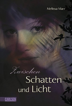 Zwischen Licht und Schatten (4)