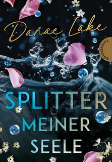 Splitter meiner Seele