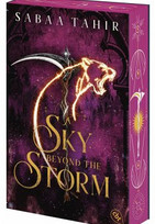 A Sky Beyond the Storm