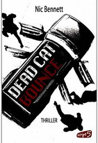 Dead Cat Bounce